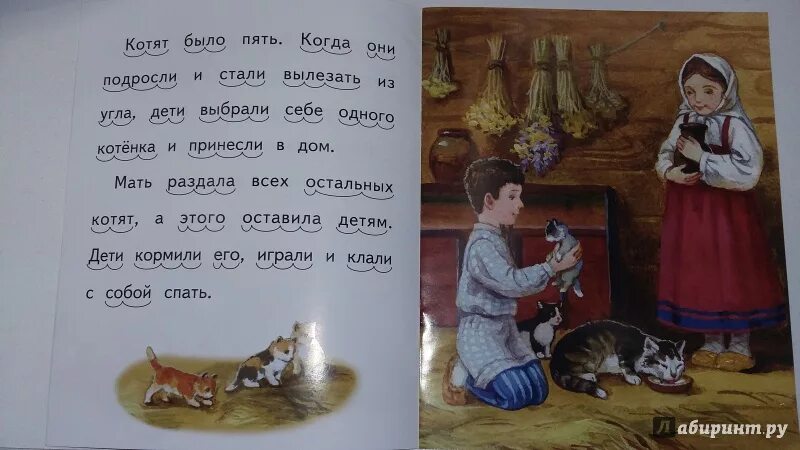 Прочитай слова котенок. Лев толстой котенок. Произведения л н Толстого котенок. Рассказ Льва Толстого котенок. Сказка Льва Николаевича Толстого котёнок.