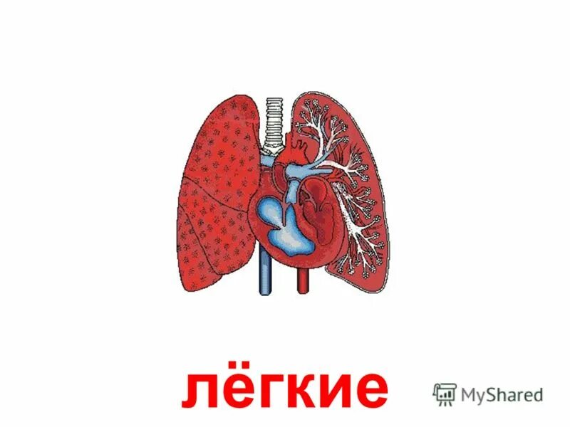 найти легко на сердце