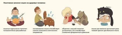 Кошачьи признаки