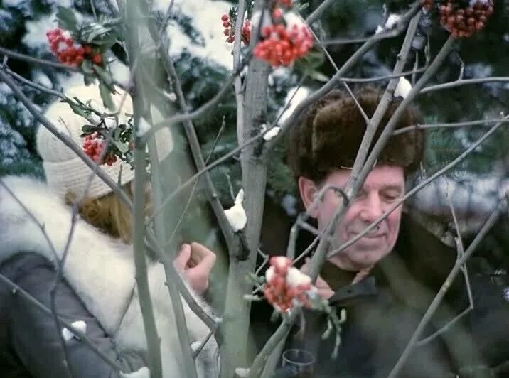 февраль кинопоиск. февраль кинопоиск. февраль кинопоиск. февраль кинопоиск. игры судьбы 2020.