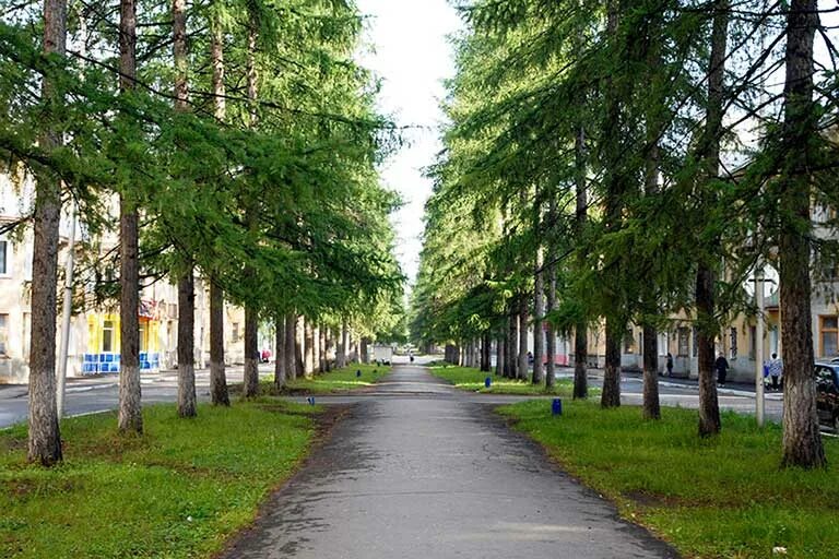 Лиственничная аллея серов. Тавда ул кирова. Тавда ул кирова. Нижняя тавда ул. Тавда кирова.