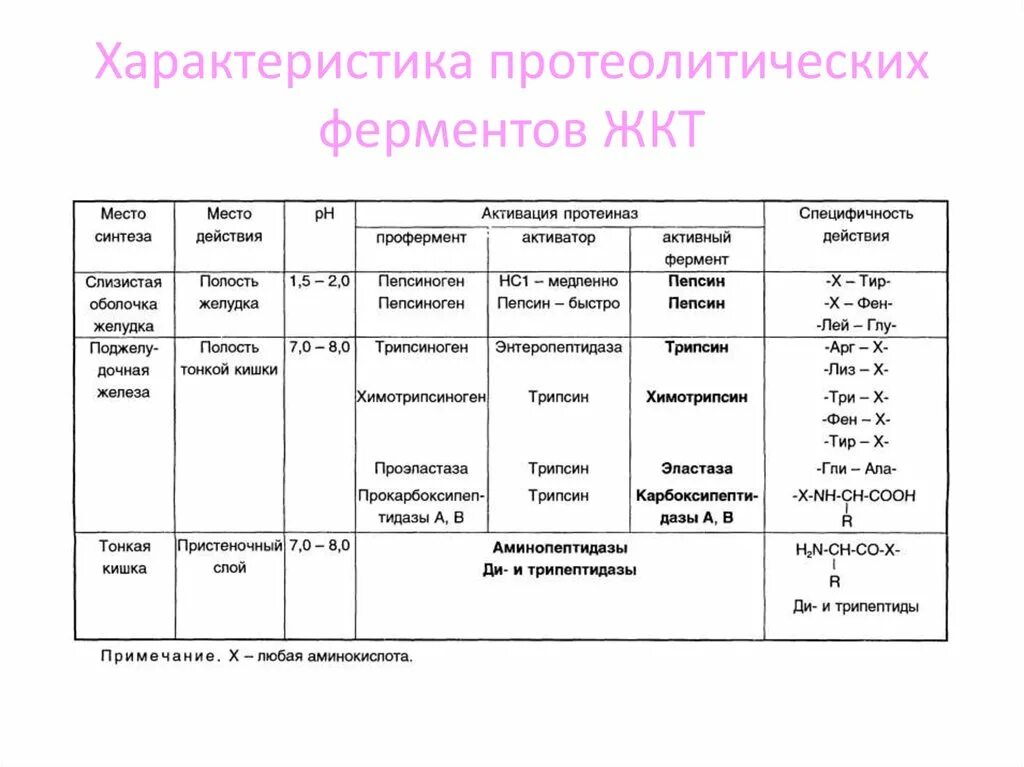 Характеристика ферментов участвующих в. Характеристика протеолитических ферментов ЖКТ биохимия. Характеристика протеолитических ферментов ЖКТ. Особенности протеолитических ферментов. Ферменты желудочно-кишечного тракта таблица.