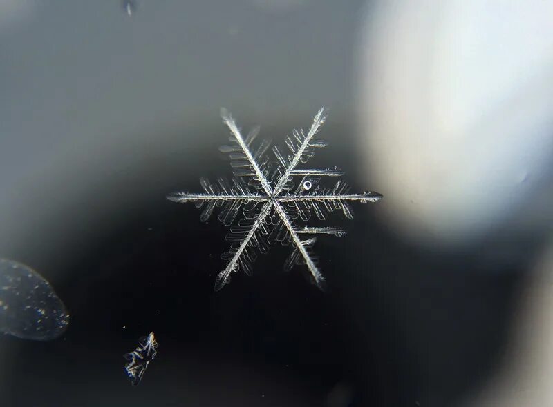 снежинки зимнее волшебство. клуб магии снежинки. снежинки зимнее волшебство. снежные узоры. снежинки на воде.