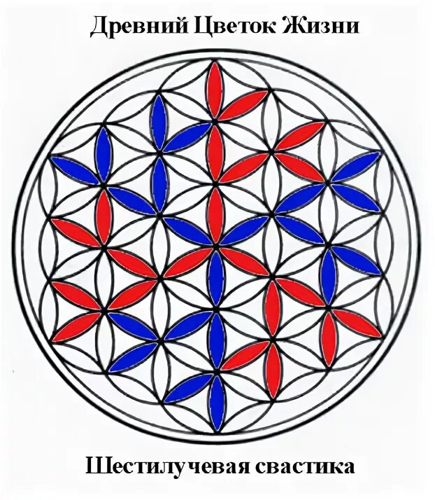 Мельхиседека древняя тайна цветка жизни. Друнвало Мельхиседек Сакральная геометрия. Друнвало Мельхиседека цветок жизни. Мельхиседек цветок жизни рисунок. Тайна цветка жизни Мельхиседек.