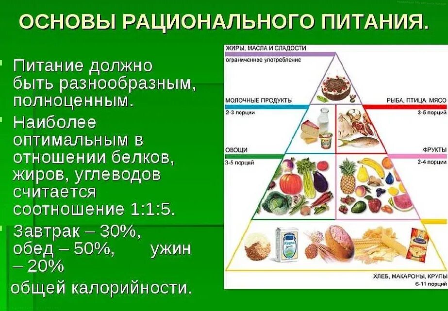 Правильное рациональное питание. Основы рационального питания. Рацион здорового питания. Рационального, сбалансированного питания. Организация питания относится к