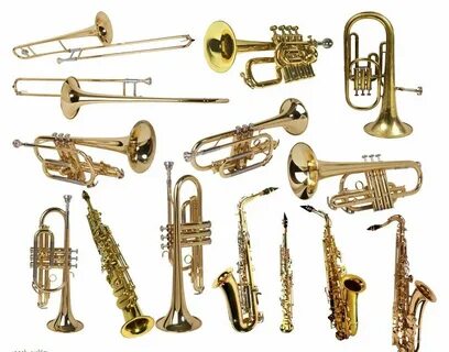 Pin by Jason Milburn on ok Brass band instruments, Brass band, Musical instrumen