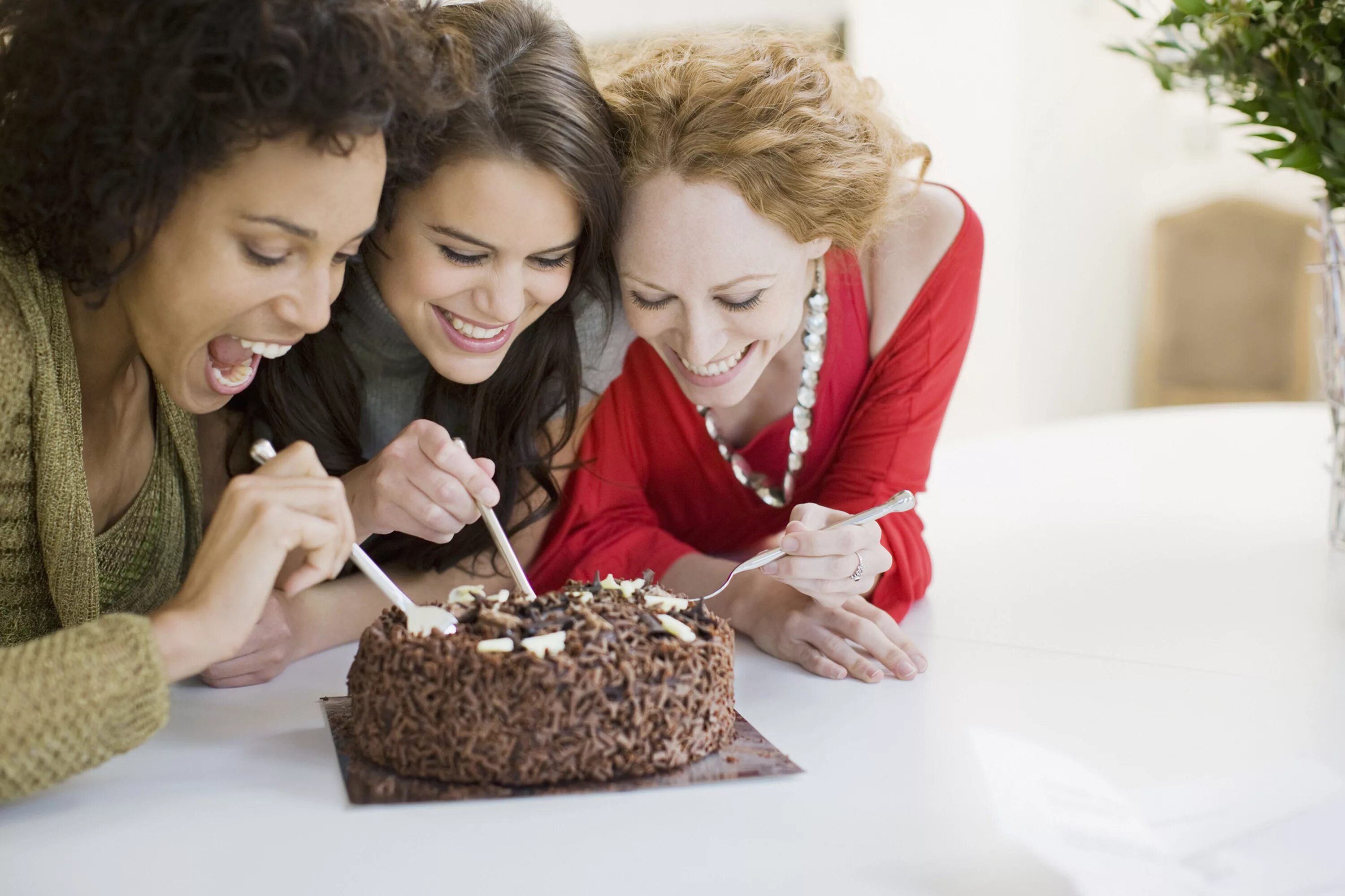 You can t have your cake and