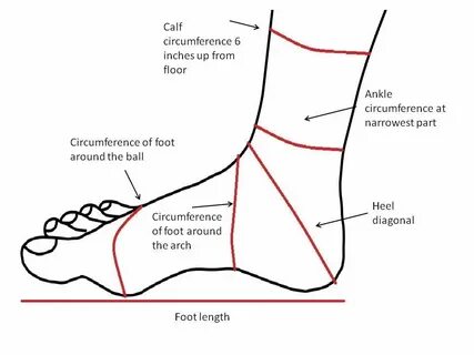 Ankle перевод