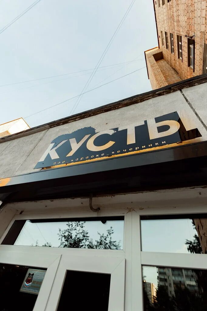 Городская 43 екатеринбург питомник. Деревья в биробиджане. Живой забор кизильник. Кусты екатеринбург. Ива шаровидная дерево.