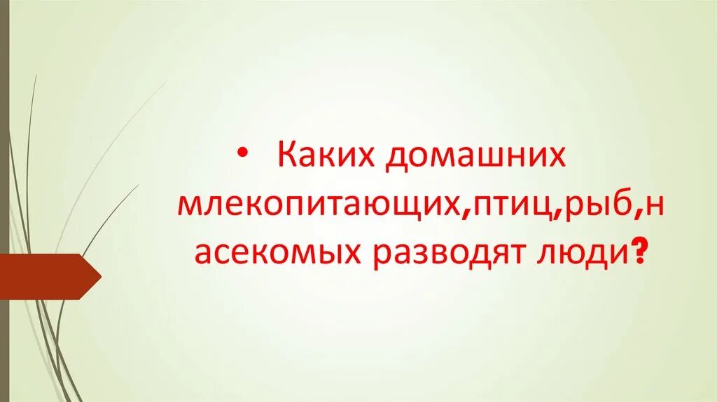 Каких домашних млекопитающих птиц рыб насекомых разводят люди. Каких домашних млекопитающих птиц рыб насекомых разводят люди 3 класс. Каких млекопитающих разводит человек птиц рыб насекомых. Какие домашние млекопитающие птицы рыбы насекомые.