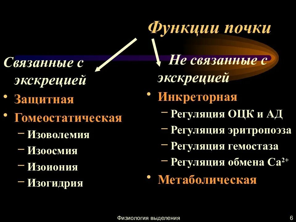 Инкреторная функция почек. Функции почек физиология. изоволемия изоосмия изоиония изогидрия.