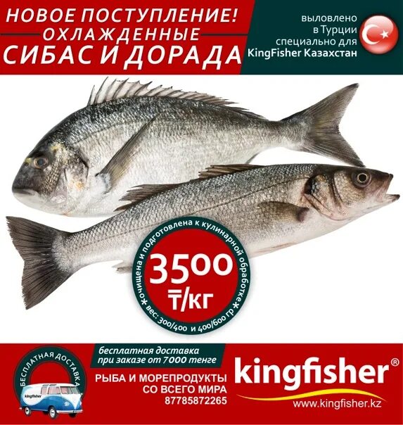 Сибас 1 кг. Дорада рыба в ленте. Сибас рыба в Ашан. Рыба в ленте сибас. Сколько стоит рыба сибас 1 кг.