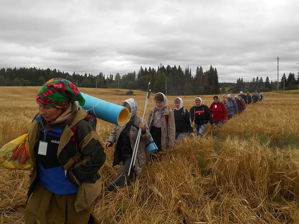 сильшур шарканский район. деревня козино шарканский район. зюзино шарканский район. погода шарканская сосновка. погода шарканская сосновка.