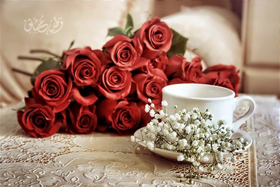 Доброе утро любимая розы. Доброе утро с прекрасными розами. С добрым утром розы. Шикарные букеты роз с добрым утром.