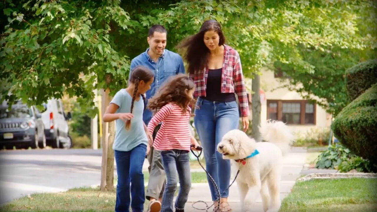 Your family a dog. Идеальная семья. family dog walking. идеальная американская семья. a family with a dog walk.