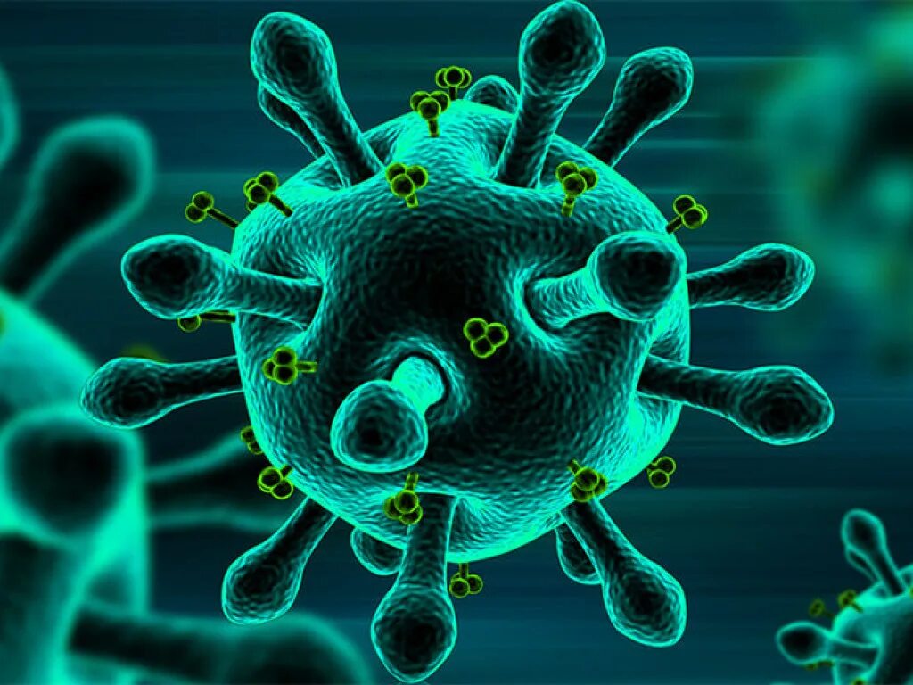 Бактерия коронавируса под микроскопом. Вирус коронавирус микробиология. Микроб гриппа. Микробы и вирусы под микроскопом. Вирус гриппа орви