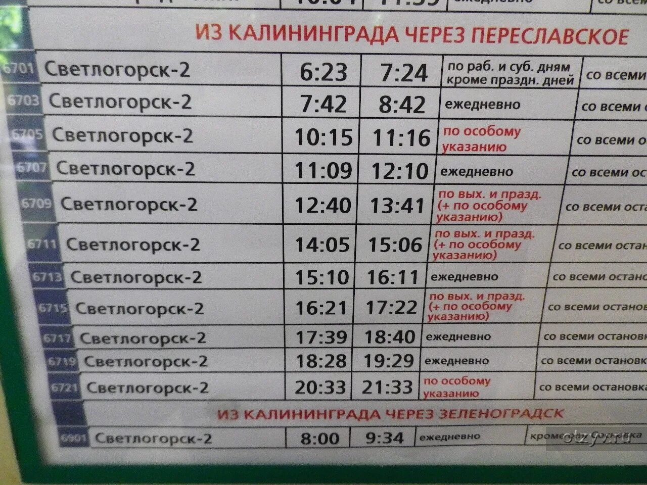 Аэропорт калининград светлогорск. Храброво Светлогорск. Автобус Храброво Светлогорск. Автобус от Светлогорска до аэропорта Храброво. Автобус Зеленоградск Калининград.