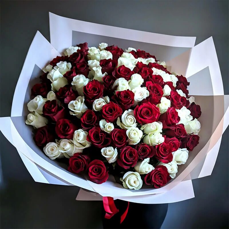 Букет из красных и белых роз 101. Красные розы в белой упаковке. Букет роз 101 бордовые и белые.
