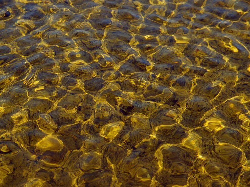 Золото в воде. Речное дно. Вода с золотом. Море золота.