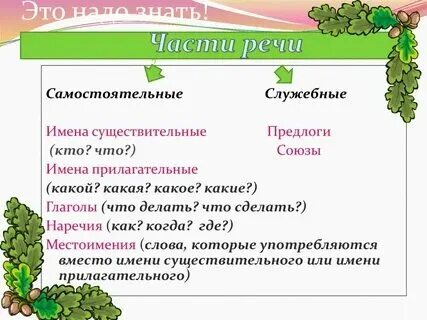 Имя прилагательное куст какой. Имя прилагательное куст какой