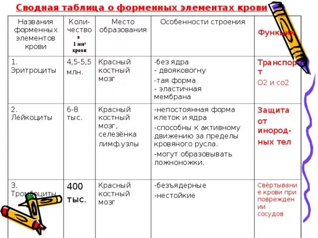 Таблица клетки крови биология 8 - найдено 83 картинок