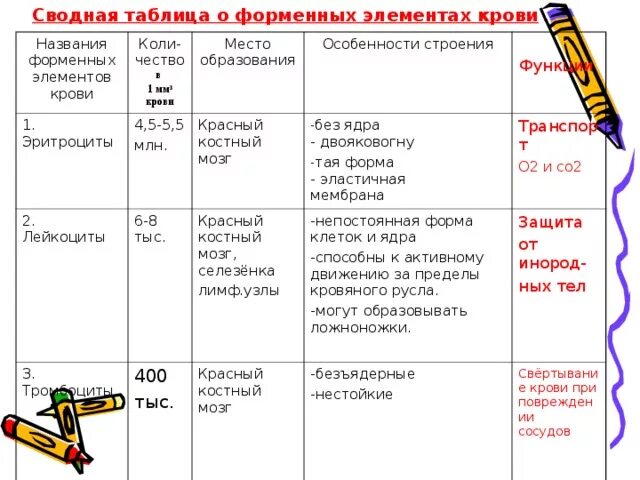 Строение и функции клеток крови таблица. Форменные элементы крови таблица биология. Таблица состав крови биология 8 класс. Таблица форменные элементы крови по биологии 8 класс.