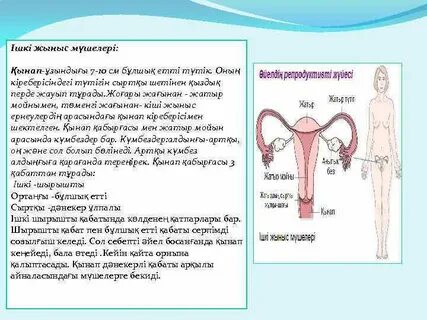 Жыныстық қозудың бұрандалы белгілері