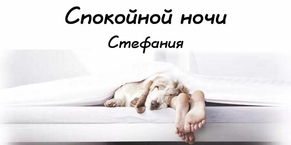 Спокойно прочее. Спокойной ночи настя. спокойной ночи настя открытка. спокойной ночи прикольные. открытка спокойной ночи настенька.