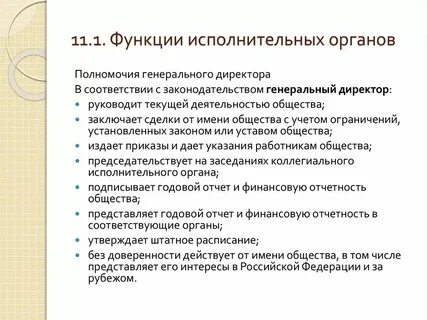 Исполнительный директор общественной организации