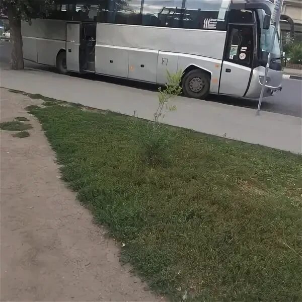 Расписание автобусов жд вокзала толмачево 111э. Автобус 111э новосибирск. 111 автобус. 111 маршрут новосибирск. автобус 111 новосибирск толмачево.