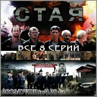 Стая бушкова