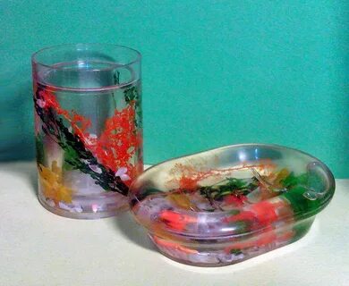 Мыльница с ракушками внутри