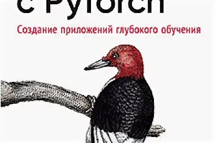 Pytorch книги. Pytorch книги