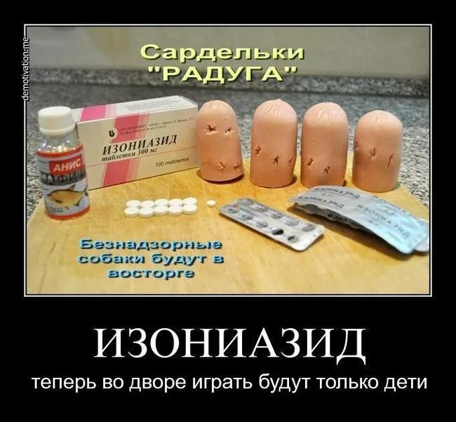 Как часто можно травить. Таблетки для отравление собаки. как отравить собаку. изониазид для травли собак.
