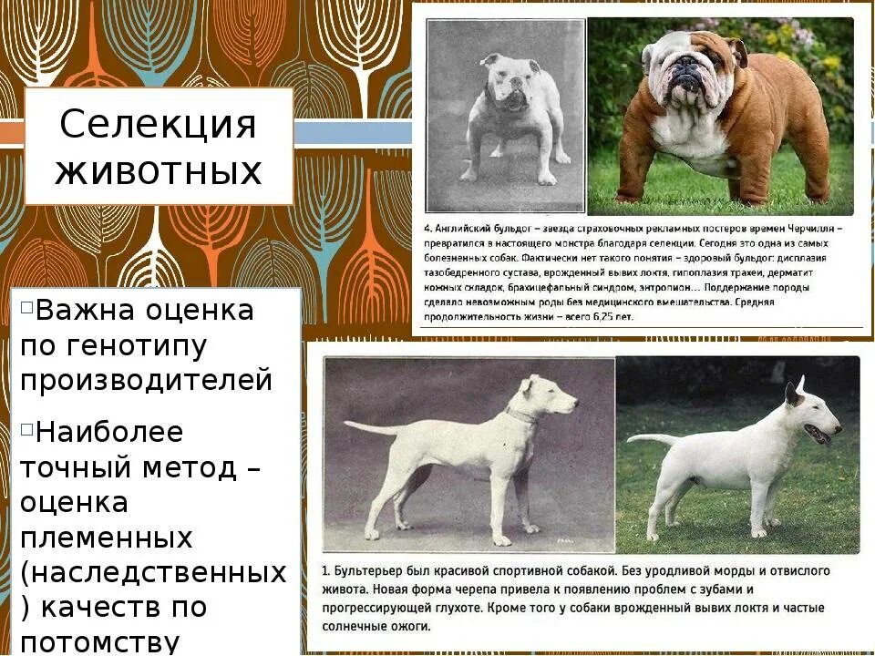 Результаты селекции