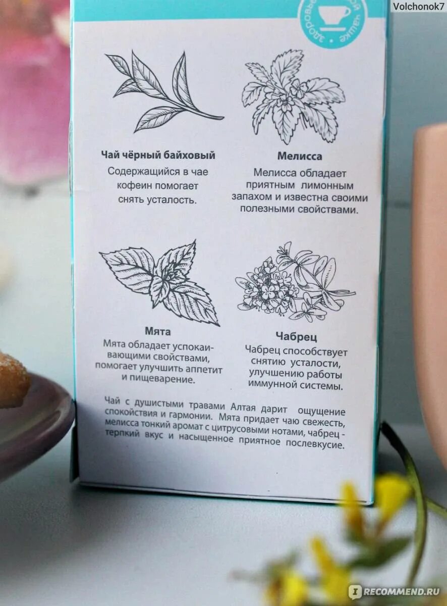 Полезность мяты. Жимолость при гв. Леденцы при лактации. Запрещенные травы при грудном вскармливании. Чем полезна мята.