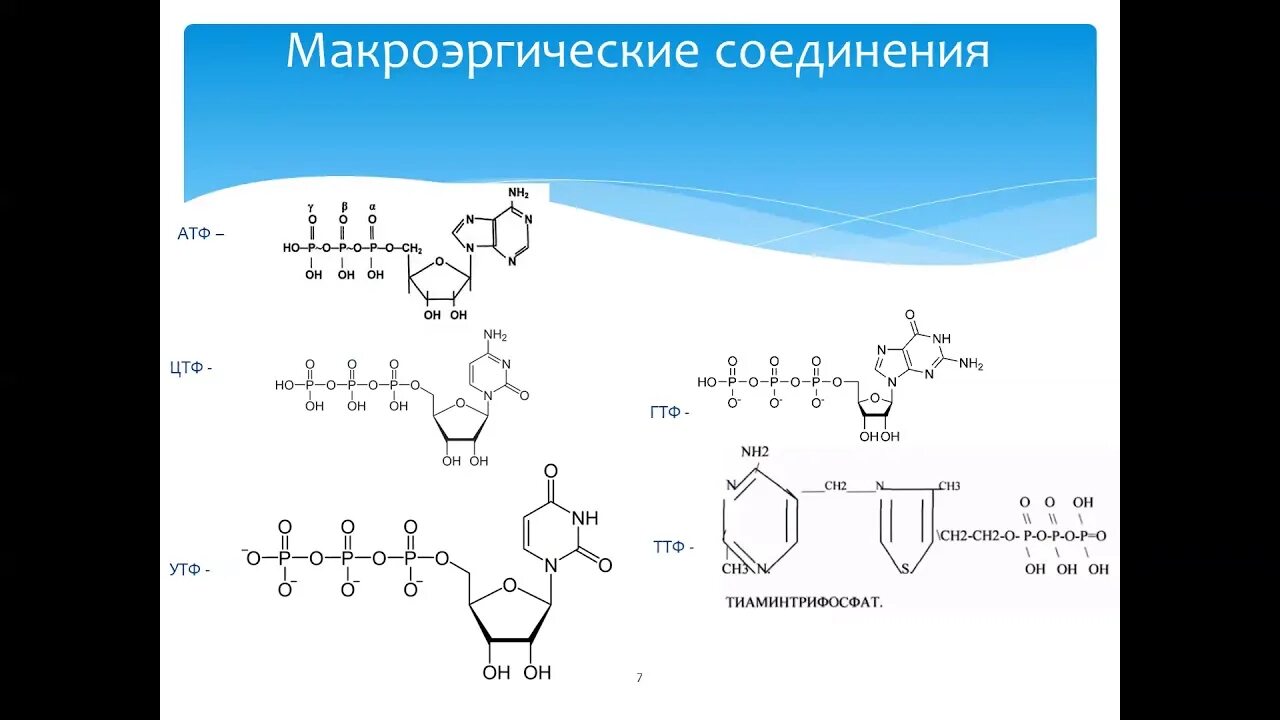 Макроэрги. Макроэргические соединения. Макроэргические соединения биохимия. Примеры макроэргических соединений. Макроэргические соединения клетки.