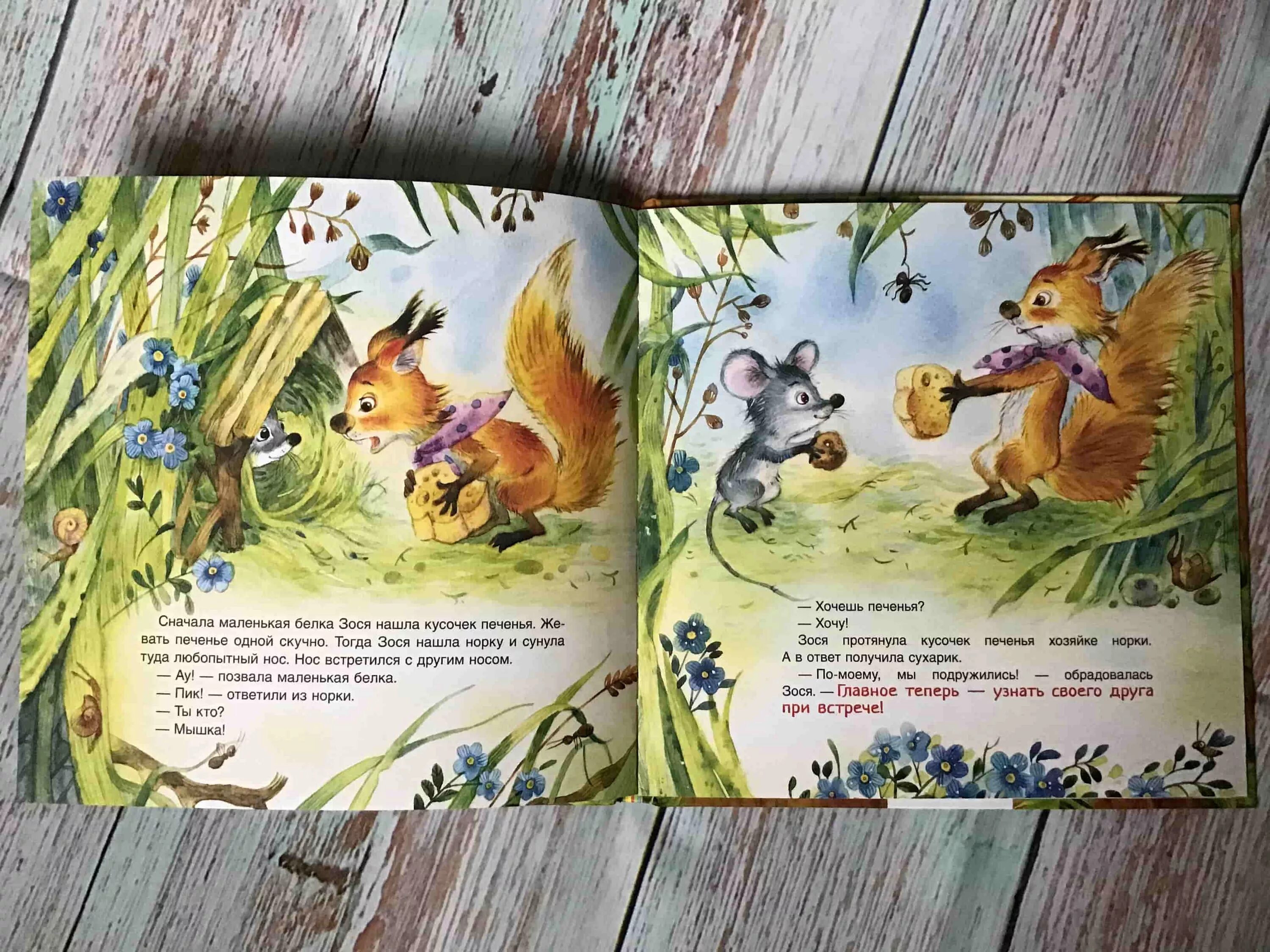 Полное имя зося как будет. Зося белка книга. зося – маленькая белка. книга зося маленькая белка. зося маленькая белка иллюстрации.