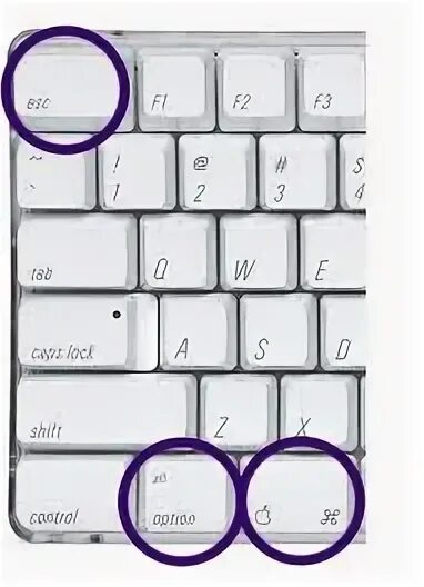 Ctrl alt на mac. Контрол альт на мак. ctrl alt delete на mac клавиатуре. контр альт дел на маке. ctrl alt del на mac клавиатуре.