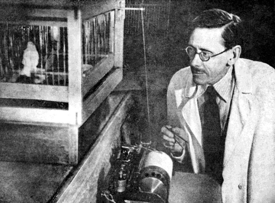 Генерация промптов. Александр промптов. промптов александр иннокентьевич. а.н. промптовым.. мазинг юрий андреевич институт экспериментальной медицины.