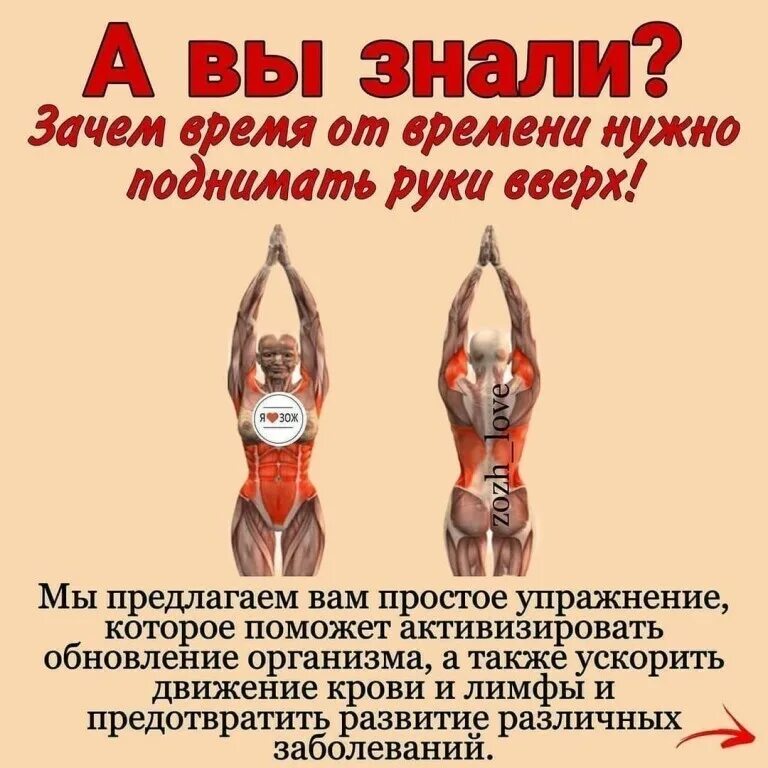Поднимать почему и. Поднимать руки вверх полезно. поднятые руки вверх польза. поднятие рук вверх польза. почему полезно поднимать руки вверх.