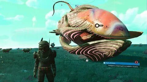 No mans sky живой корабль