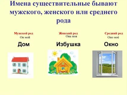 Средний род картинка