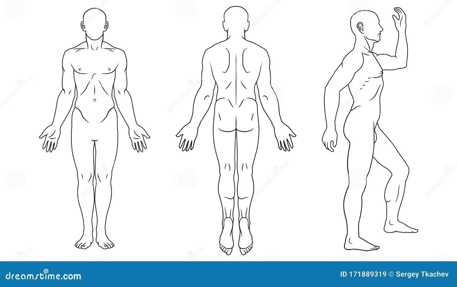 Тело скопировать. Контур тела. Контур человеческого тела. Тело человека рисунок. Силуэт тела человека.