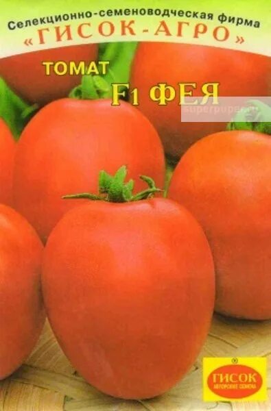 Подарок феи томат фото - DelaDom.ru