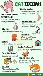 Кот по английски