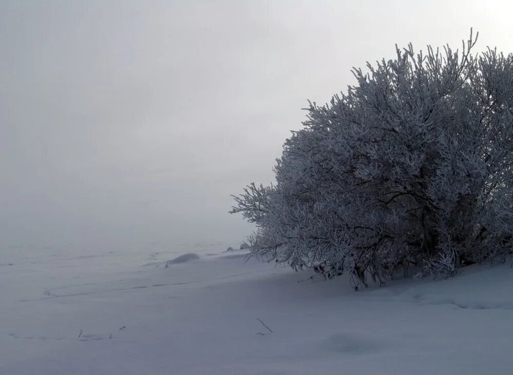 Зима метель. Метель верховод. Стихотворение на тему метель. Зима солнце. Утром метель улеглась.