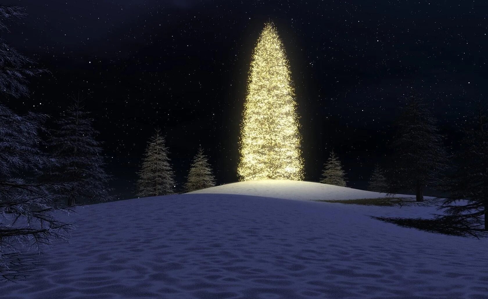 Елка остановиться. Новогодняя елочка в лесу. Наряженная елка в лесу. Зимняя ночь. Рождественская елка в лесу.