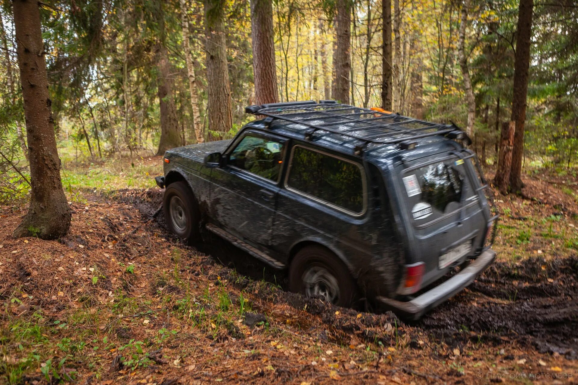 Forest roads niva. Машины в лесу нива. Forest niva. Нива 4х4 зимой. Лада 4x4 2121 нива красная.