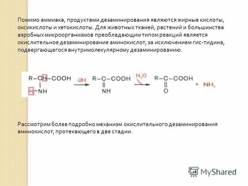 продукт аммиака. аммиак в быту. аммиак и водород. жидкий аммиак. аммиак в организме человека.